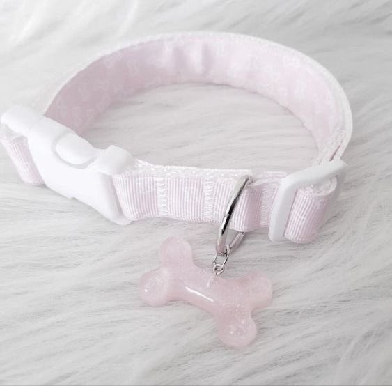 Puppygirl ۶ৎ tweet media