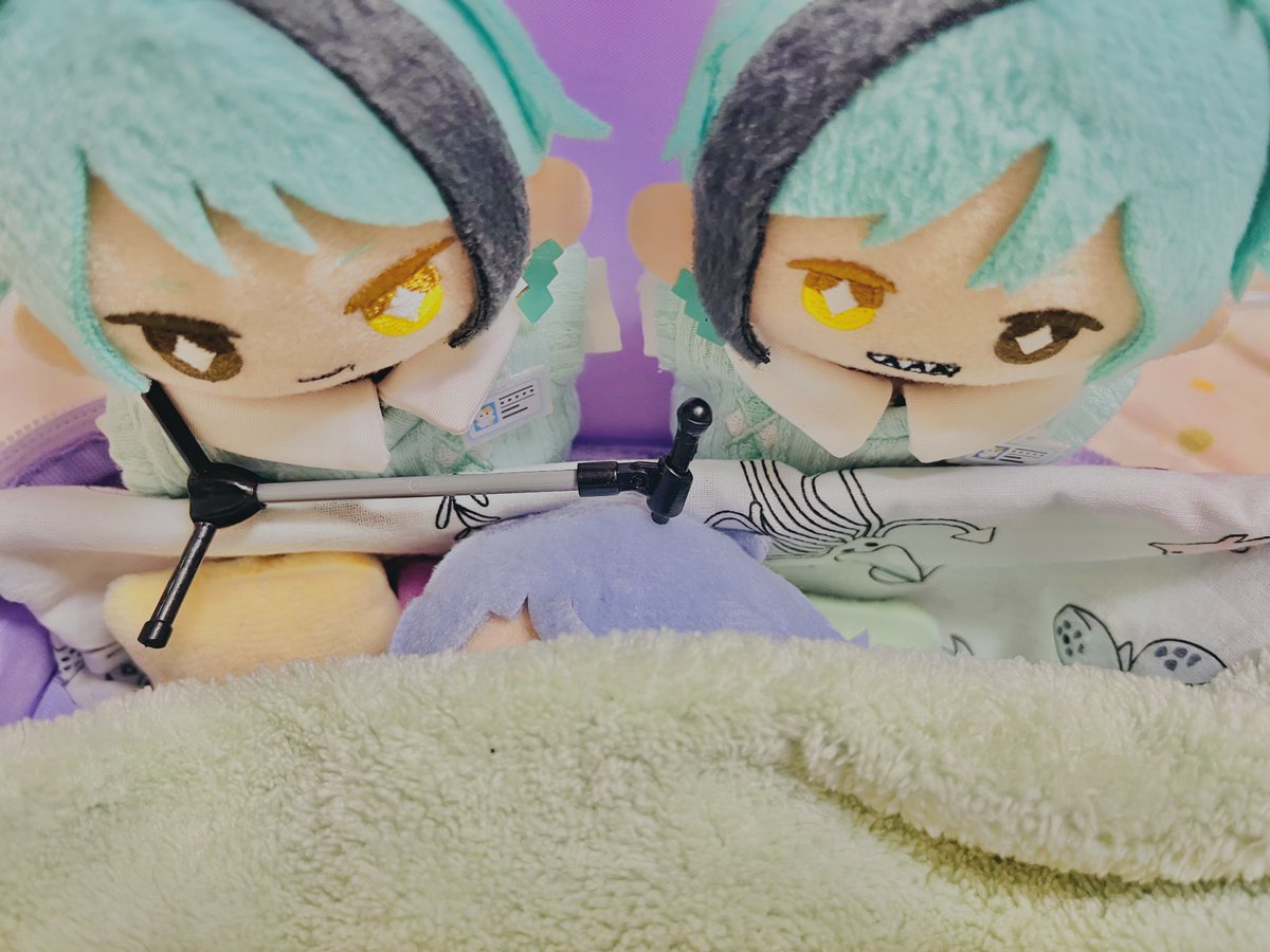 janui_sh's tweet photo. あずーるの　おたんじょびです🙂🎉
ことしは　いちばんに　おいわいいたしました🙂

はて、
2ねんまえから　かわっていないなと　おこられましたが🙂？ https://t.co/kd4s3X1MTI