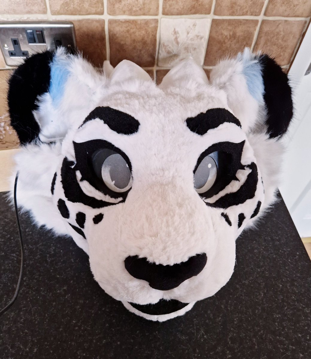 Maë the Eliatrope 🌠 🔜 CFz tweet media