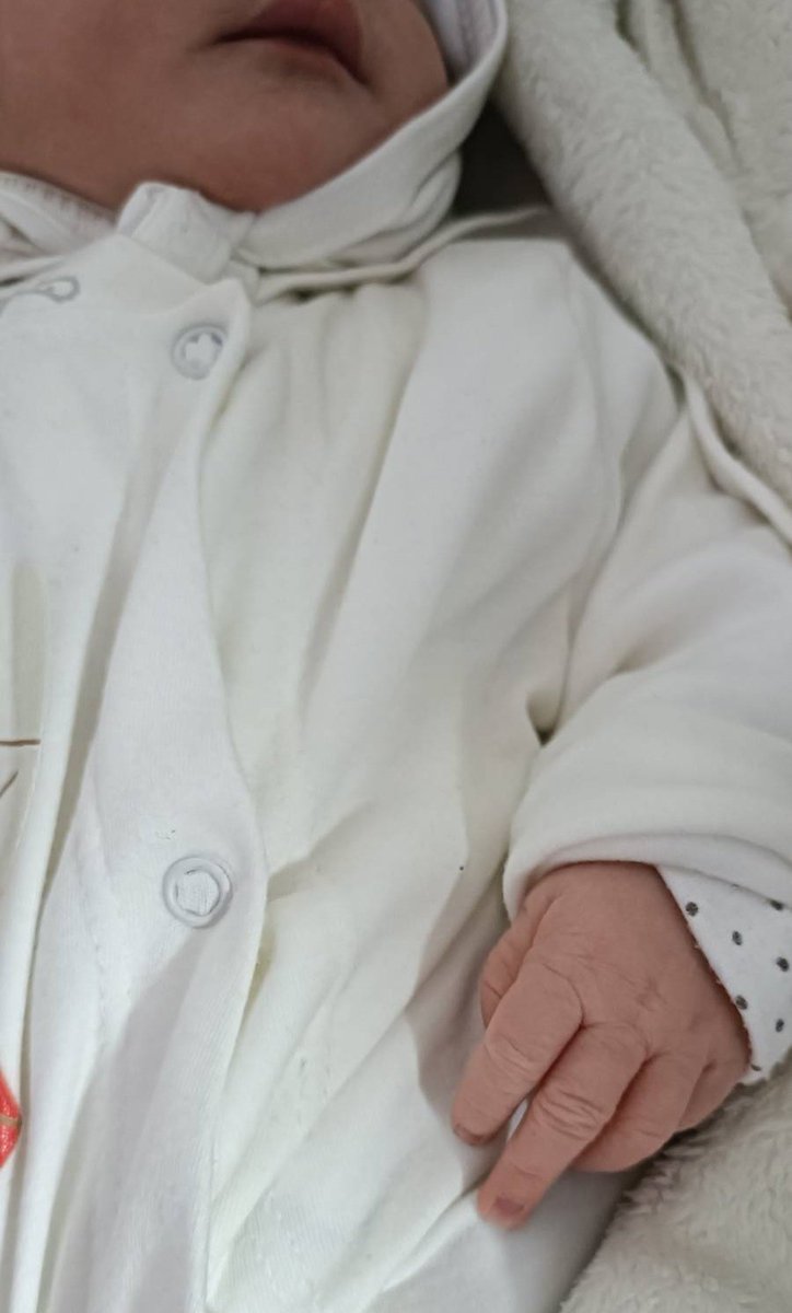 حاج محمد tweet media