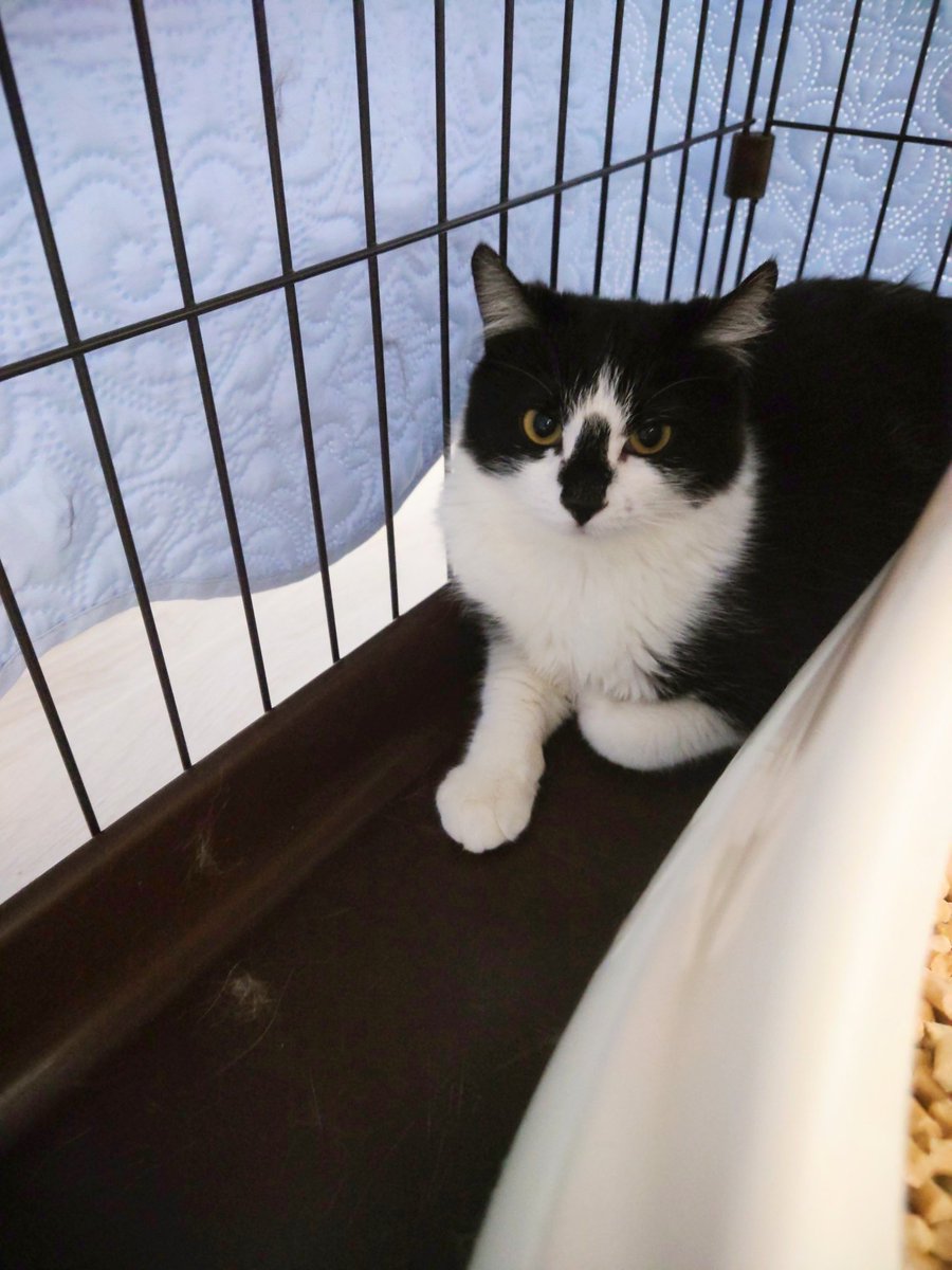 ㅤ 本日の様子… カメラ仕掛けたから別室からちょくちょく見てるよ(≖ᴗ