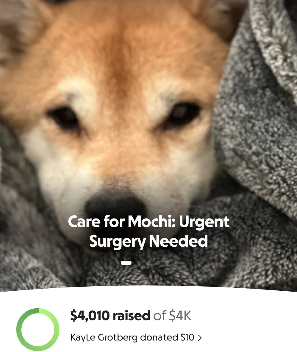 SSRWAIFU's tweet photo. WE DID IT!! Holy fuck!!!! She can get her surgery!!! THANK YOU TO EVERYONE WHOS MADE A HUGE DIFFERENCE BY SHARING AND DONATING!!!! https://t.co/TL6Qhl04Lh