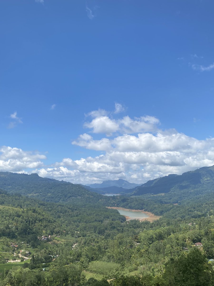 Johnnie Lowery tweet media