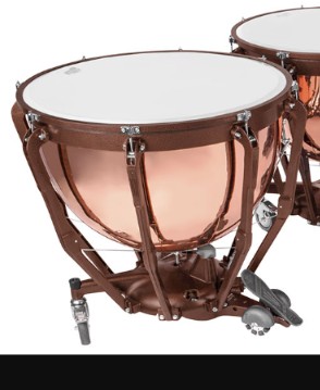 このティンパニ、ラディックプロフェッショナルに見えたのよねー。