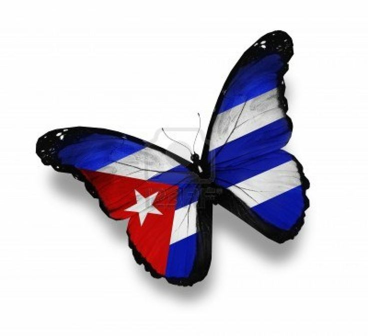 ✍️La Revolución cubana es una sola: la que inició Céspedes en 1868, la que continuó Martí en 1895, la que triunfó con Fidel en 1959. El 24 de febrero es eslabón de esa cadena de dignidad que nos une como pueblo.🇨🇺
 #CubaSoberana #CubaEstáFirme #100AñosConFidel