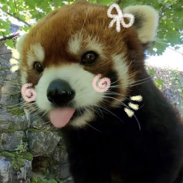 Ritsu ☃️ AURA FORCE tweet media