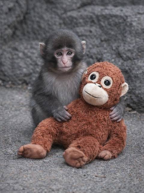 SYMPLE_KR's tweet photo. We should all have someone to depend on. https://t.co/L17HXyNwwl