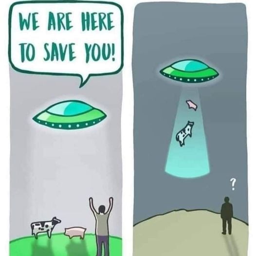 Irena Buzarewicz (@irenabuzarewicz) on Twitter photo 