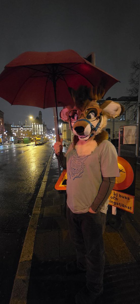 Goodbye Malmø, its been a great #NordicFuzzCon 

Signing off, My Neighbour Hideki.