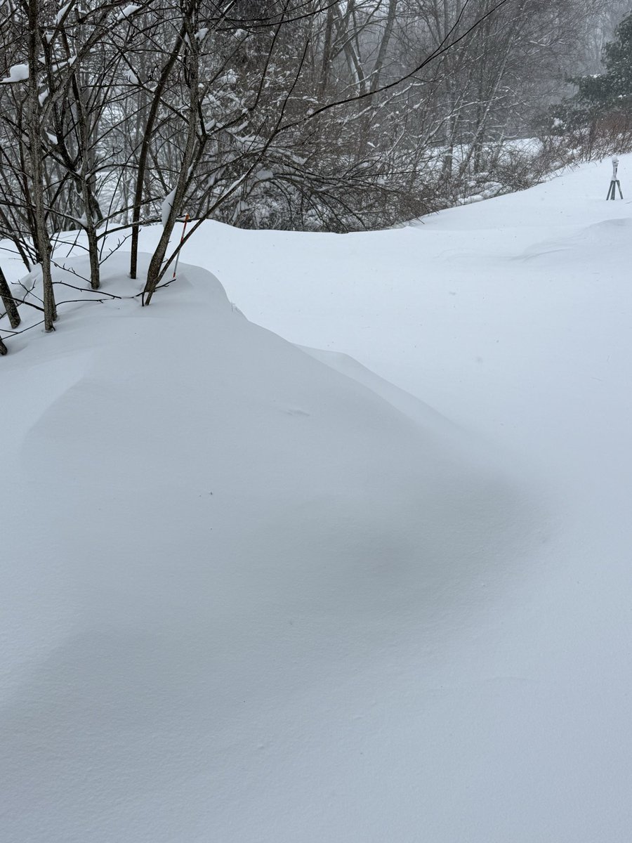 Hayds1221's tweet photo. [945 AM] Storm total snowfall now at 10.5” in Westborough. Snow and wind continue with a current temp of 24 degrees. @NWSBoston @WX1BOX https://t.co/8VvkRwCWXN