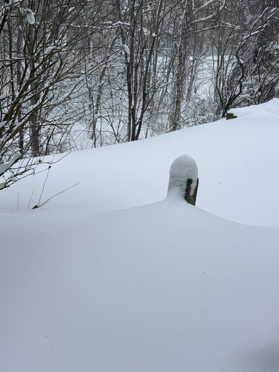 Hayds1221's tweet photo. [945 AM] Storm total snowfall now at 10.5” in Westborough. Snow and wind continue with a current temp of 24 degrees. @NWSBoston @WX1BOX https://t.co/8VvkRwCWXN
