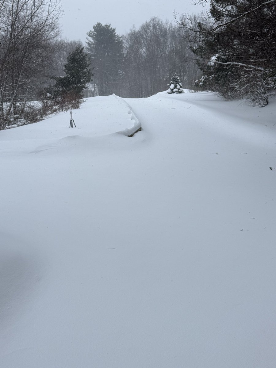 Hayds1221's tweet photo. [945 AM] Storm total snowfall now at 10.5” in Westborough. Snow and wind continue with a current temp of 24 degrees. @NWSBoston @WX1BOX https://t.co/8VvkRwCWXN