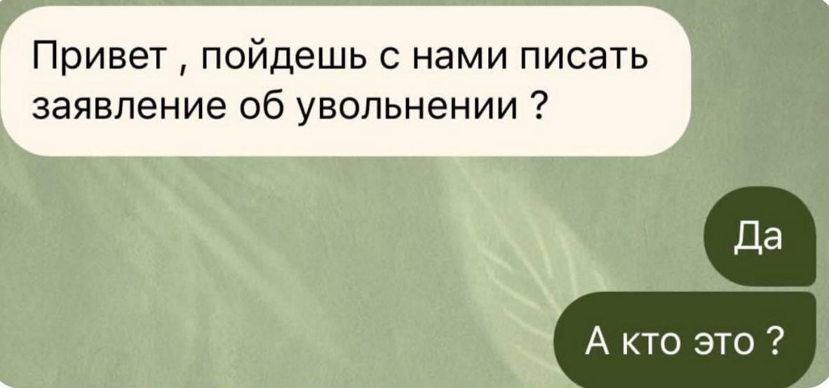 Ладожский тюлень tweet media