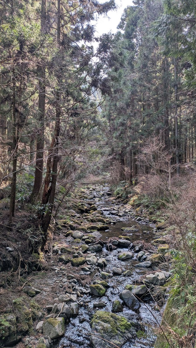 kuronagimaruru's tweet photo. ハーレーでこんな腐道走っちゃダメよね。でも腐道険道の先にいい景色があるのよね。 https://t.co/CJaHSXDC3U