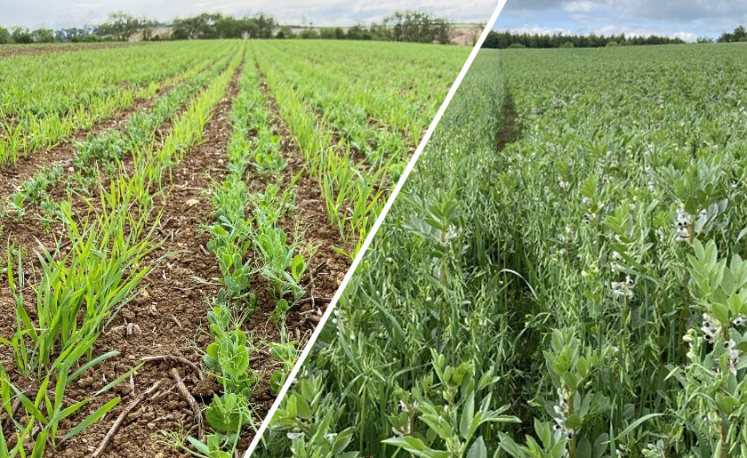 Gasmet Technologies tweet media