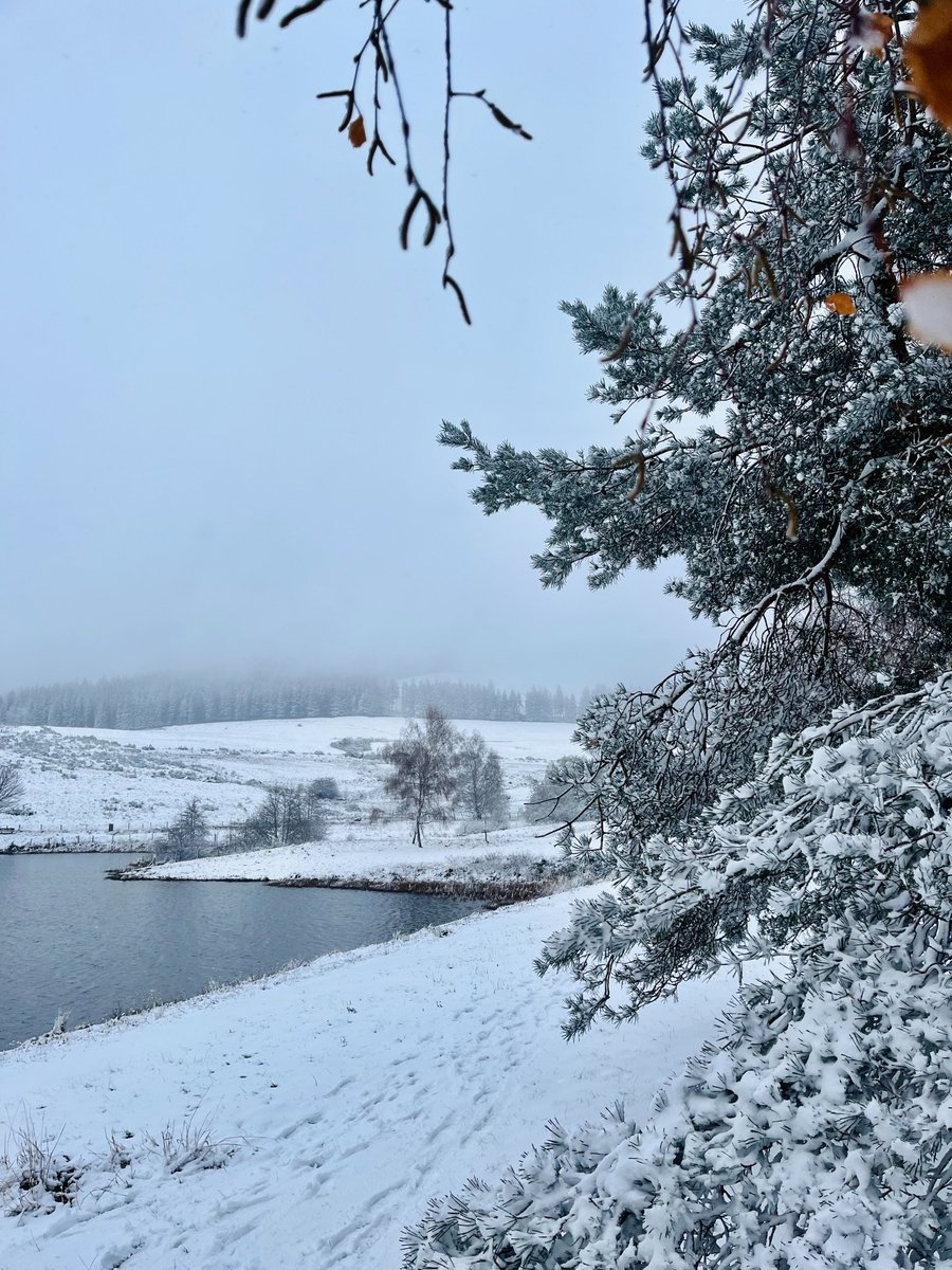 Massif du Sancy tweet media