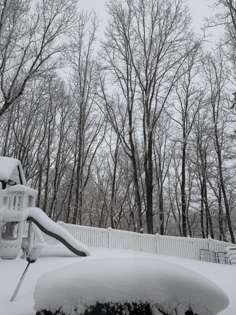 frank_punzo's tweet photo. @MikeFOX29 Denny waiting to go out back https://t.co/3hGBwQQb0v