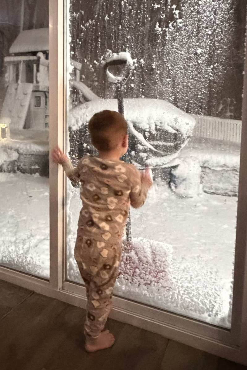 frank_punzo's tweet photo. @MikeFOX29 Denny waiting to go out back https://t.co/3hGBwQQb0v