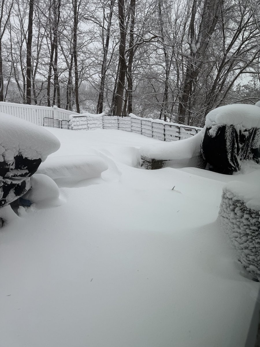 frank_punzo's tweet photo. @MikeFOX29 Denny waiting to go out back https://t.co/3hGBwQQb0v
