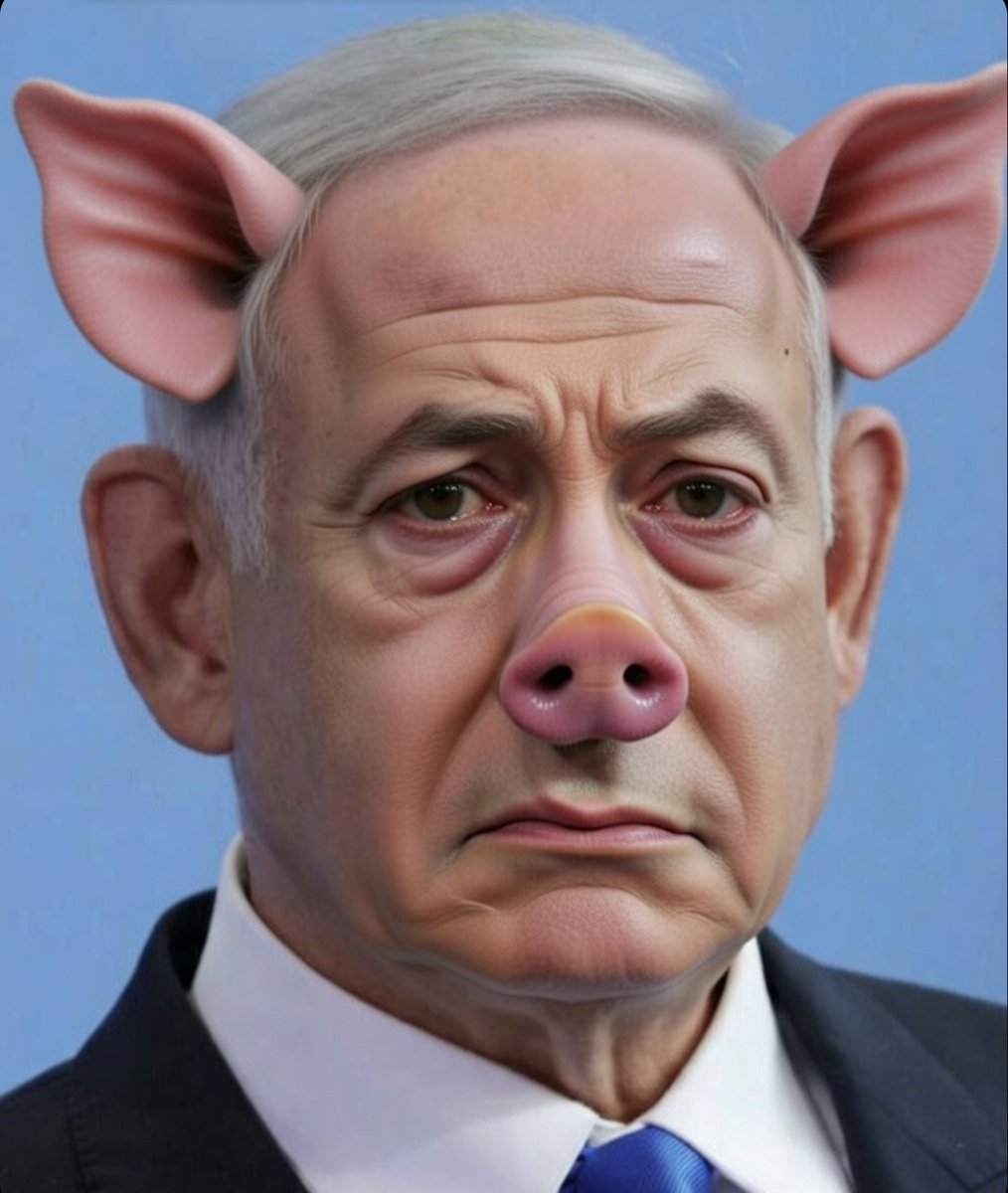 Institutional investor 3.0 tweet media