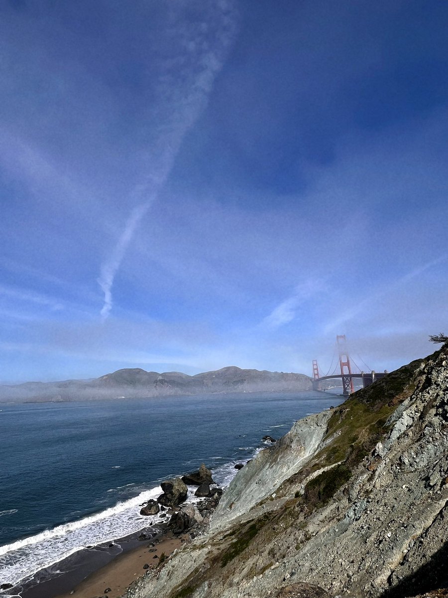 luna 𑣲 tweet media