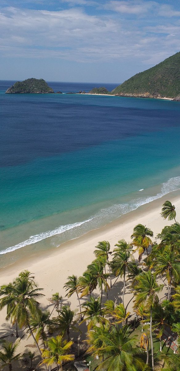 Catica Craft Chocolate tweet media