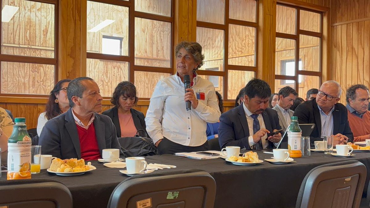 Ilustre Municipalidad de Castro tweet media