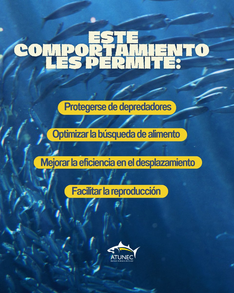 ATUNEC EC tweet media