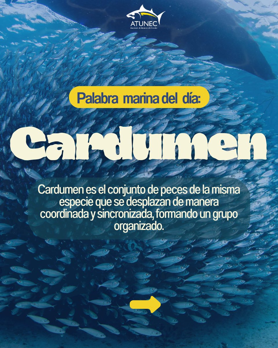 ATUNEC EC tweet media