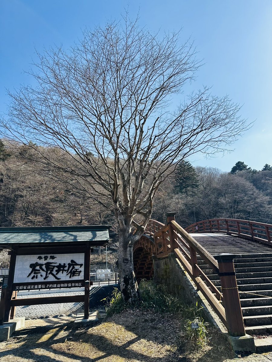 cosmos50501's tweet photo. 奈良井宿歩いて鎮神社へ
おみくじの売り方あれで良いのだろうか https://t.co/mMvcPhbqcT
