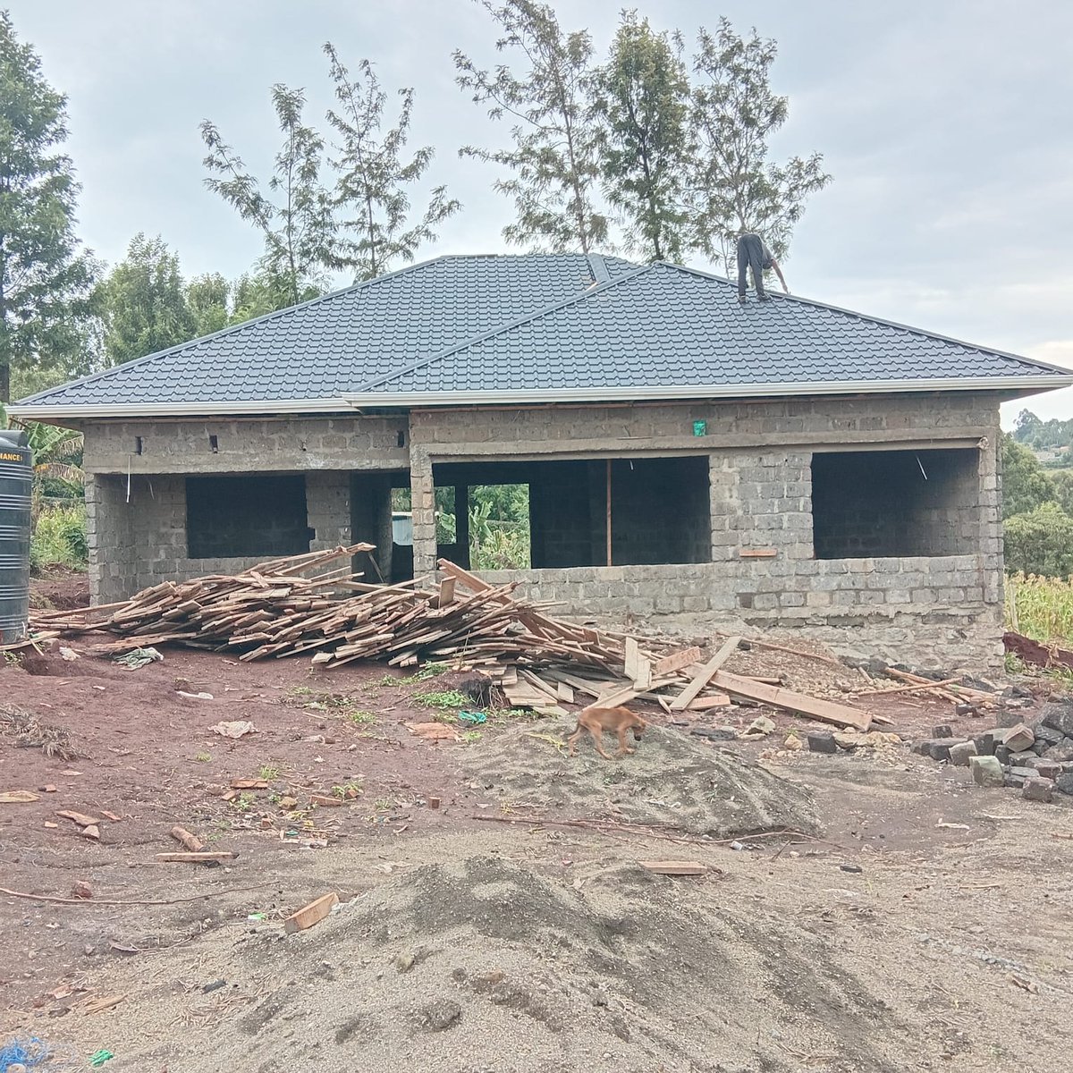 DESIGN_FOURTEEN's tweet photo. The
1. Roofing sheets and accessories - KES 297,000 (G28- RUIRU MABATI versatile)
2. Timber -KES 150,000 (Wairimu 0714246210 cypress)
3. Gutters- KES 30,000
4. Labour - KES 90,000
TOTAL ROOFING COST -KES 567,000 https://t.co/p2ek3O95Ph
