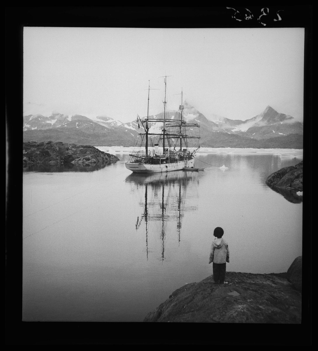 Mémoire des hommes tweet media