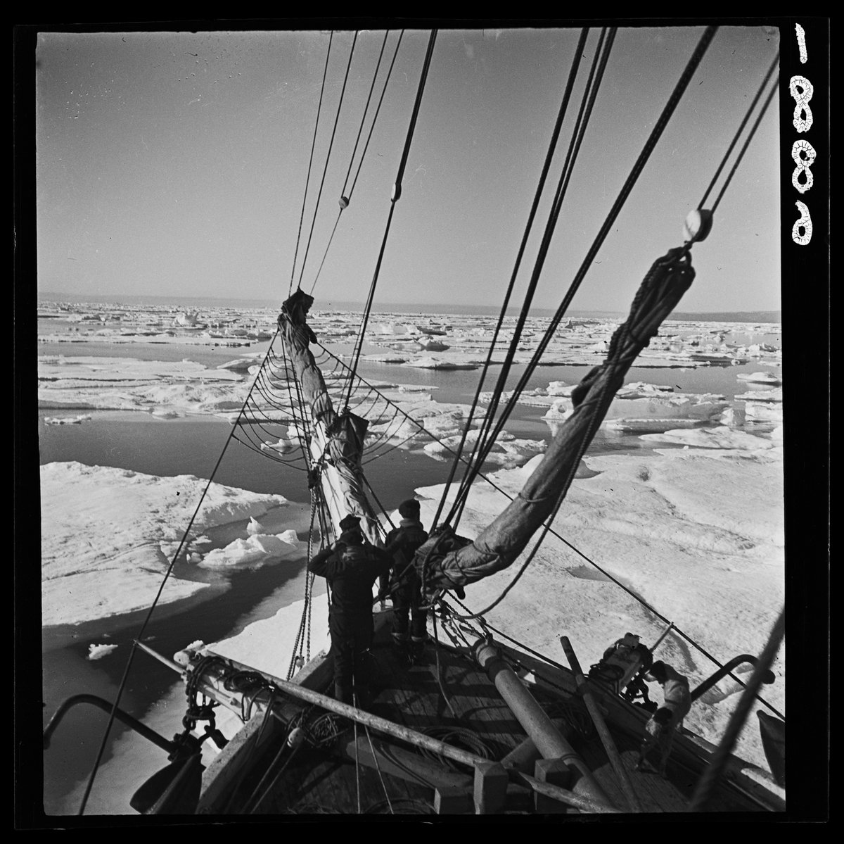 Mémoire des hommes tweet media