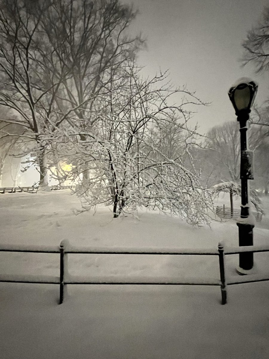 Maureen Langloss tweet media