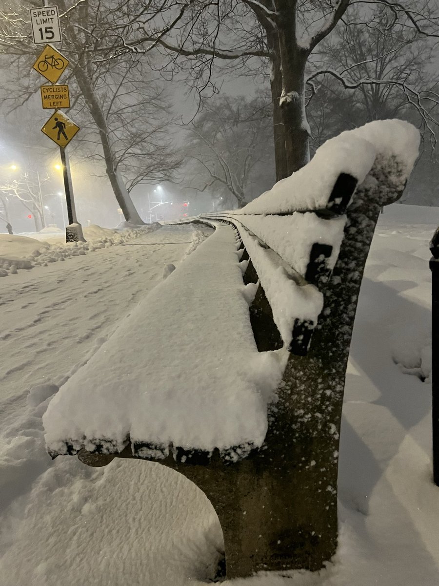 Maureen Langloss tweet media