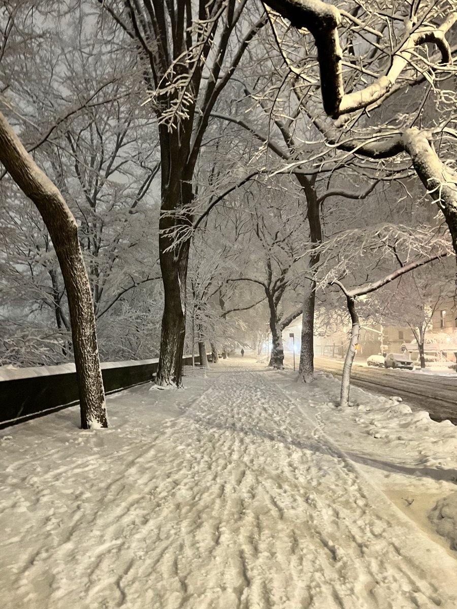 Maureen Langloss tweet media