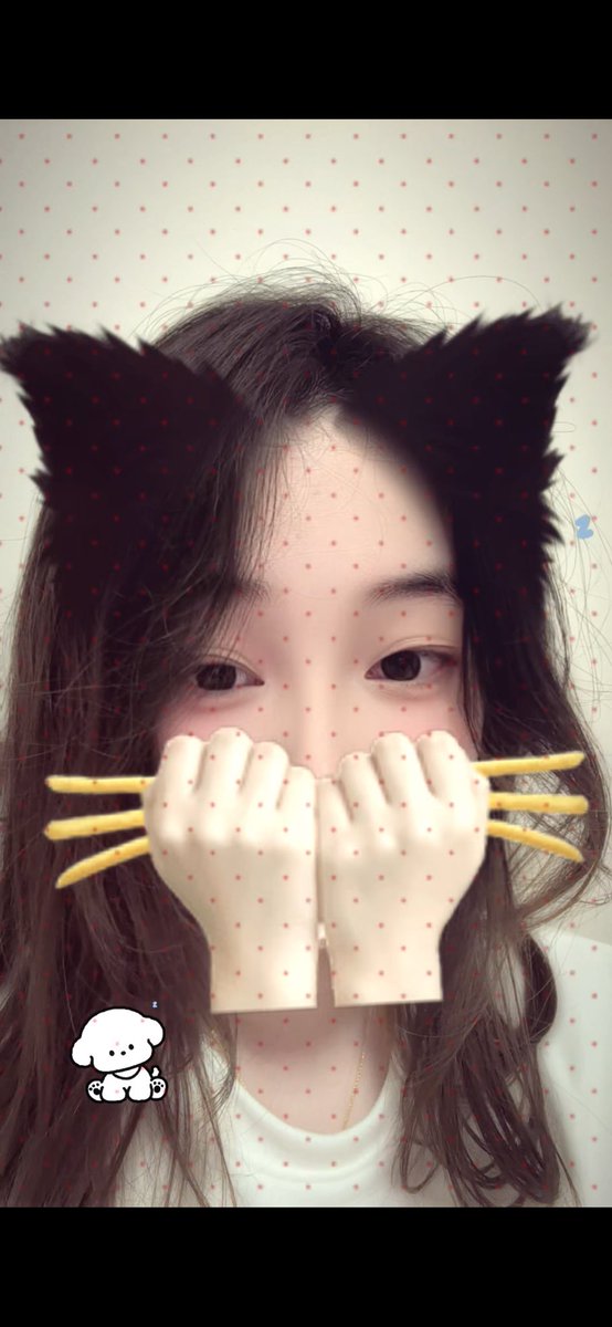 和我的18 tweet media