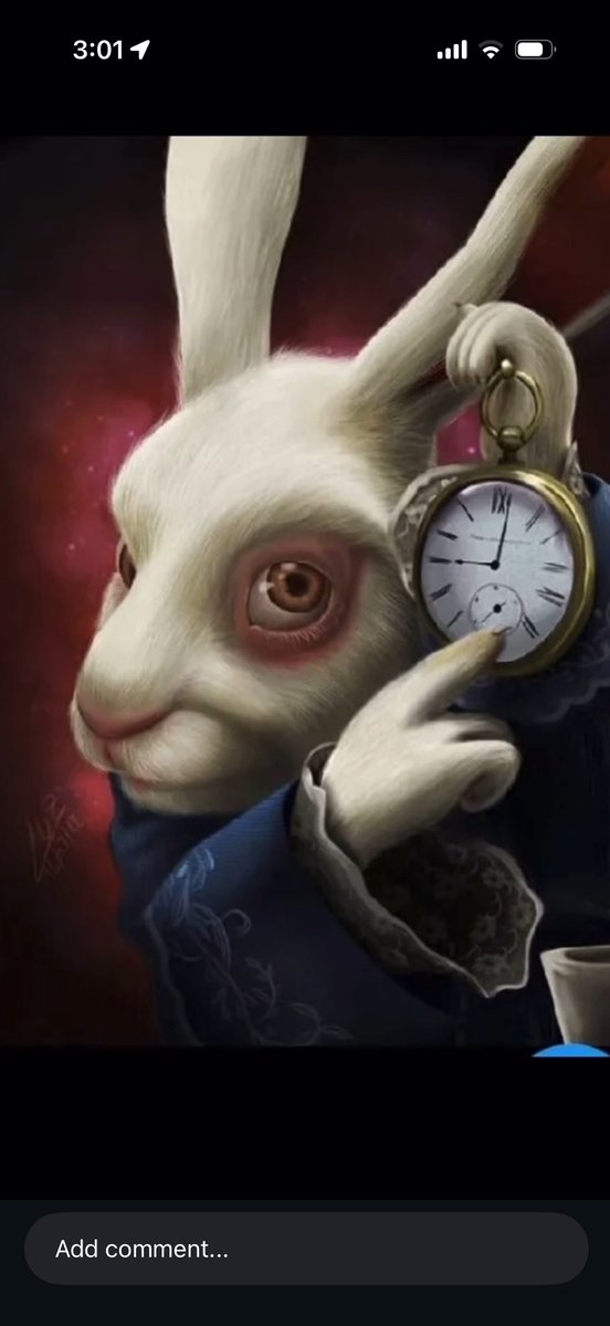 Rio 💀😵 tweet media