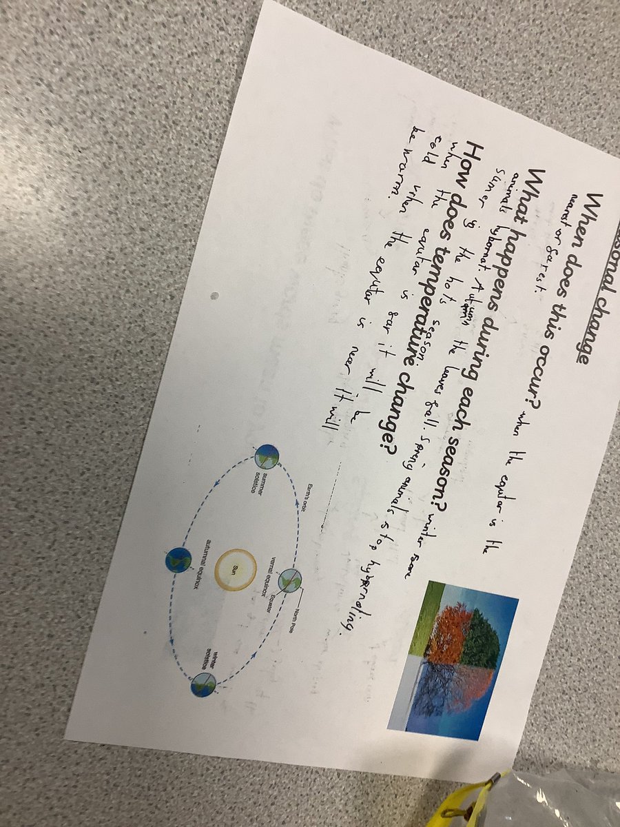 UKS2 Gaskell Primary School tweet media