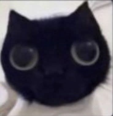 ⸺♠❤️Perdonen la ausencia he estado ocupada y no podido responder y creo que hasta nuevo aviso estaré hiatus, lo siento 😿