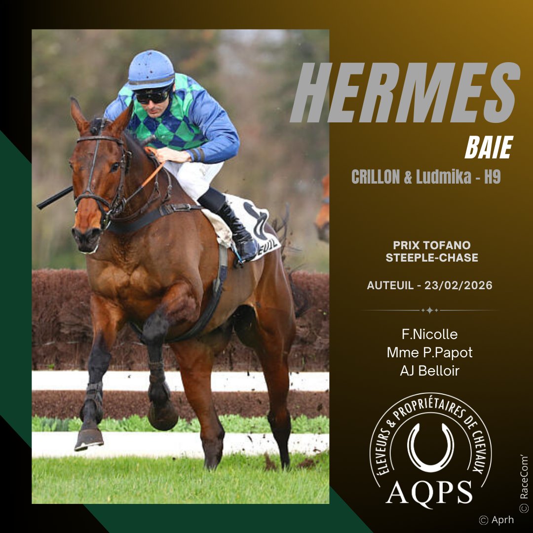 AQPS thefrenchchaser tweet media