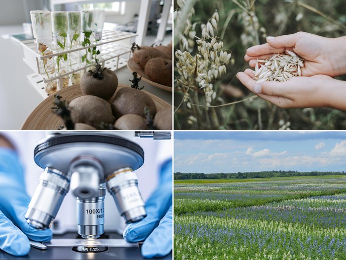 GRACE RI tweet media