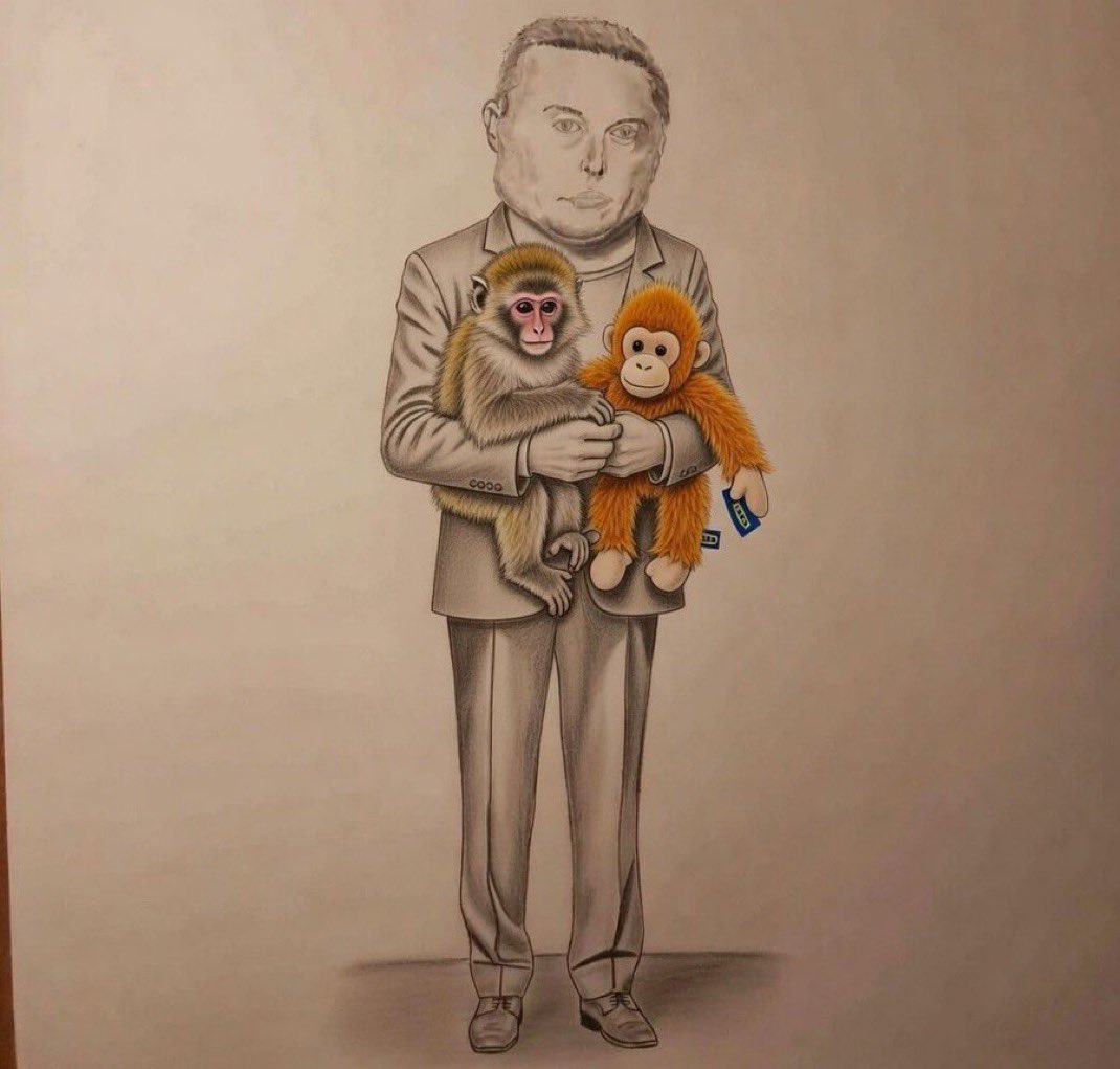 Not Elon Musk tweet media