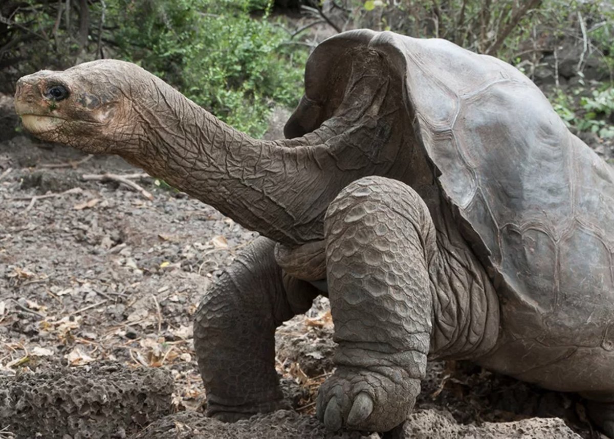 Le Média Positif 🍀 tweet media