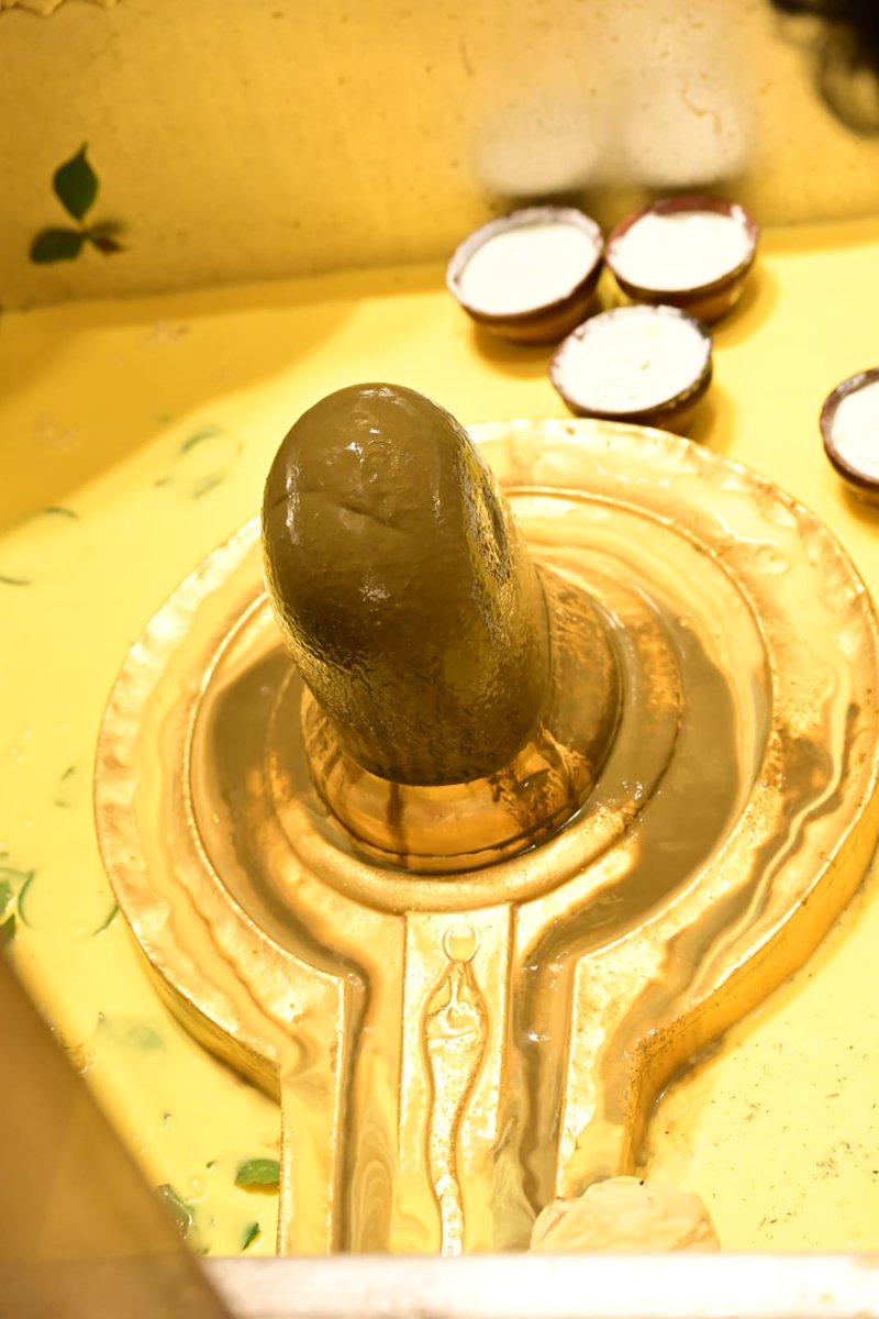 श्री काशी विश्वनाथ जी की सप्तऋषि आरती I
#kashivishwanath #kashi #sanatandharma #banaras