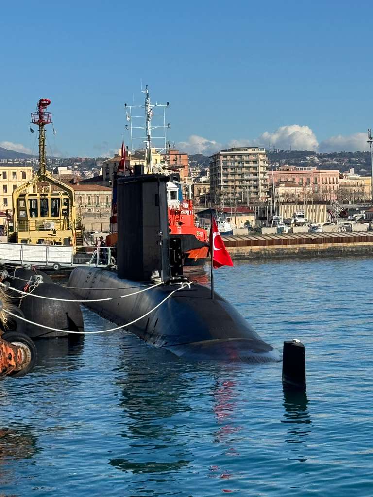 MaviVatan.net tweet media