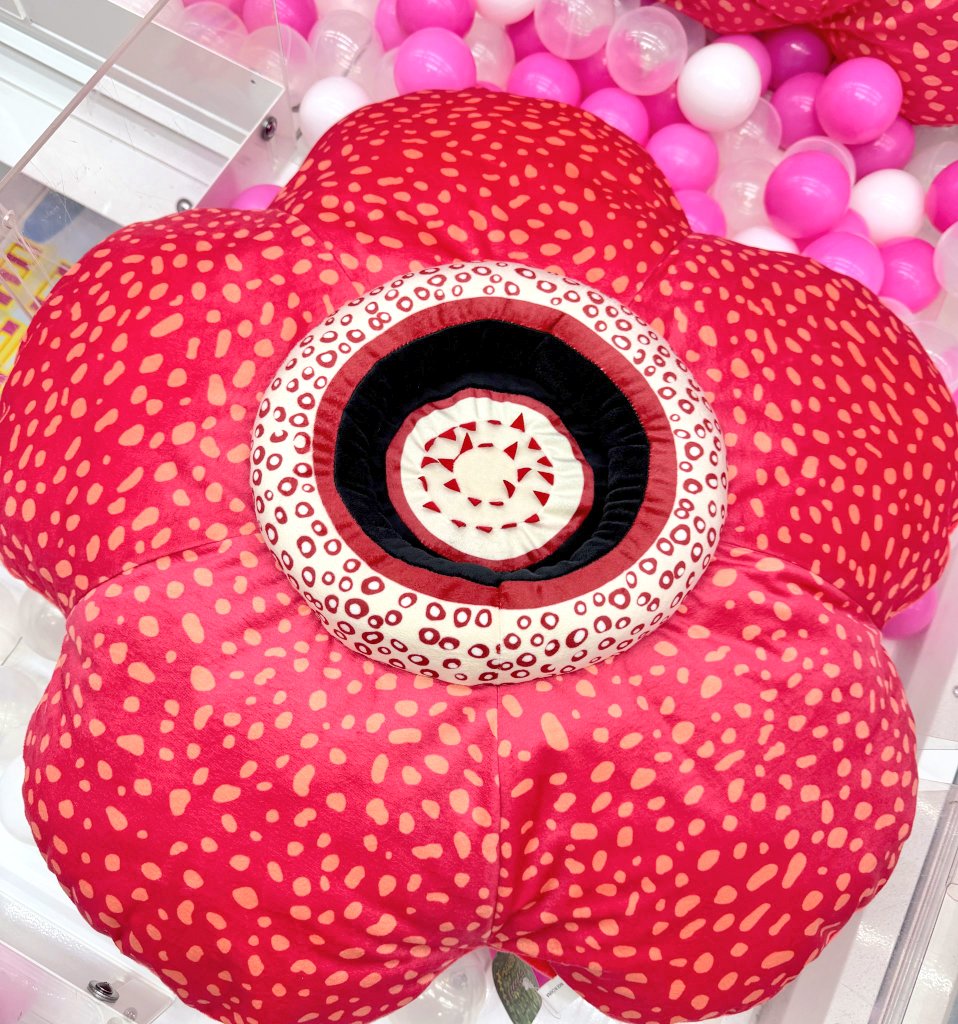最大の花「ラフレシア」BIGクッション 展開中♪在庫なくなり次第、終了