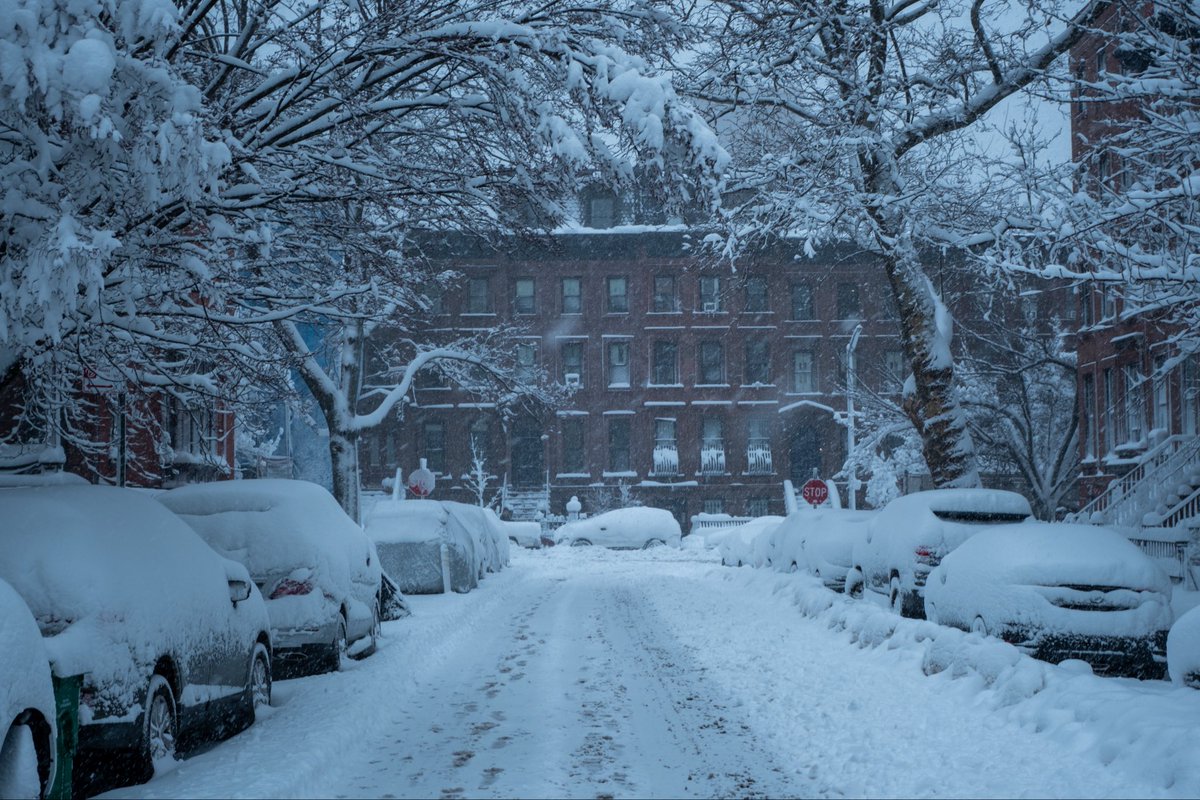 paris martineau tweet media