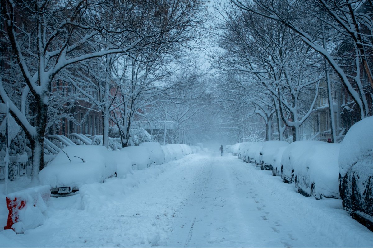 paris martineau tweet media