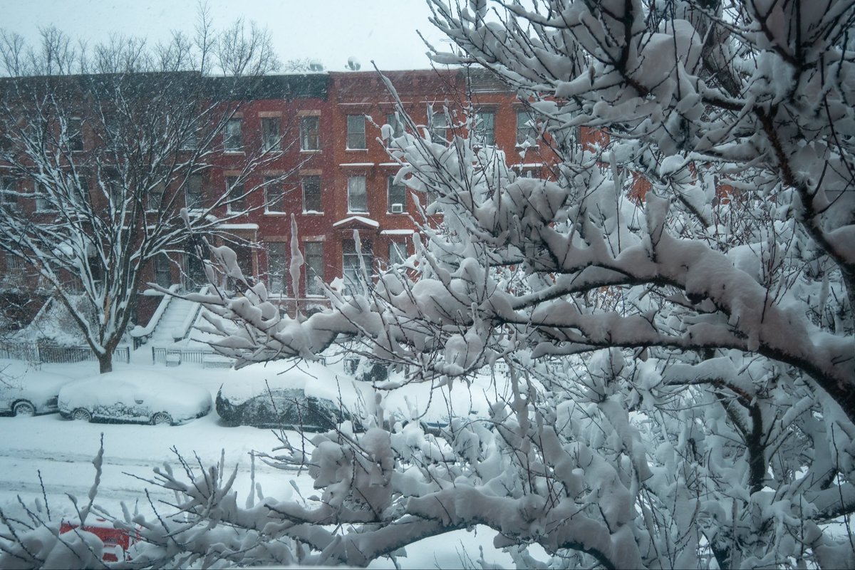 paris martineau tweet media